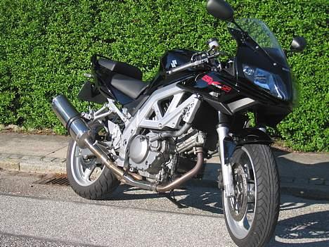 Suzuki SV 650 S billede 5