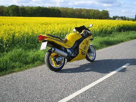 Suzuki RF 400 *Solgt* billede 8