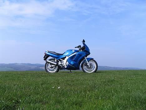 Suzuki GS500E billede 2