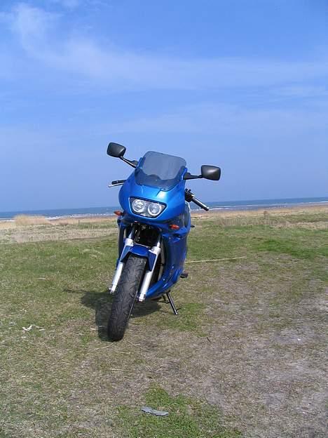 Suzuki GS500E billede 5