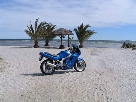 Suzuki GS500E billede 6