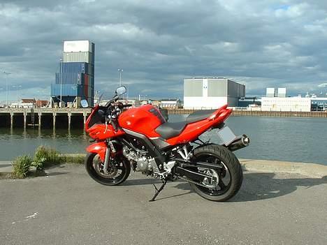Suzuki SV650SK5 billede 5