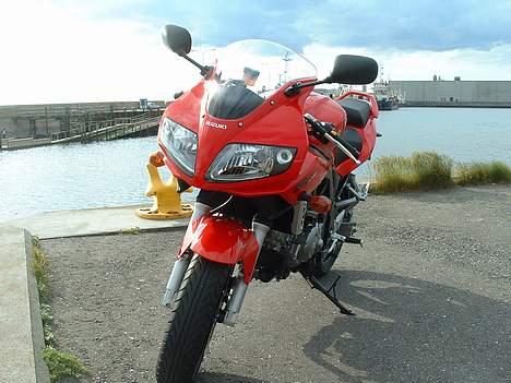 Suzuki SV650SK5 billede 7