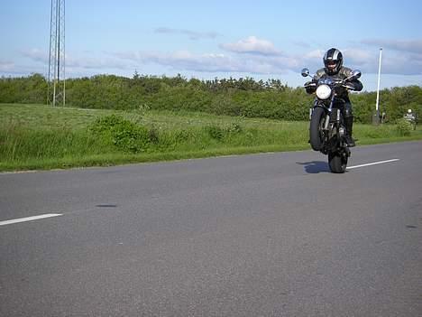 Honda CB 600 f1 hornet billede 16