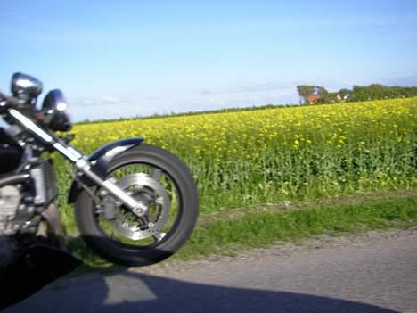 Honda CB 600 f1 hornet - Sådan ser en Hornet-overhaling ud! :) billede 17