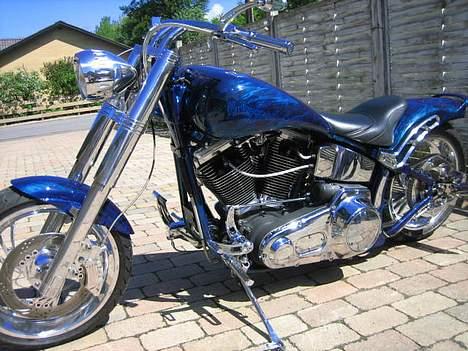 Harley Davidson softtail  billede 12