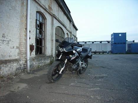 Yamaha SZR 660 BELGARDA -Solgt- billede 3