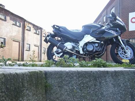 Yamaha SZR 660 BELGARDA -Solgt- billede 6