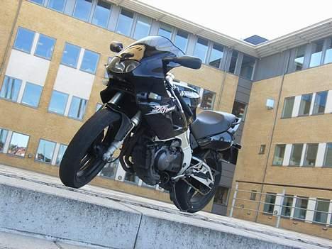 Yamaha SZR 660 BELGARDA -Solgt- billede 8