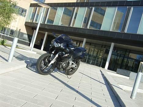 Yamaha SZR 660 BELGARDA -Solgt- billede 14