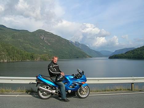 Suzuki gsx 600 f billede 2