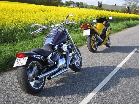 Suzuki VL1500 billede 5