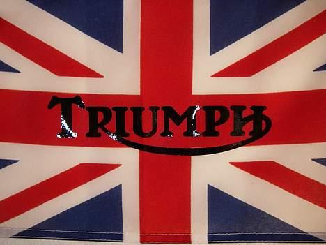 Triumph 955i Sprint RS billede 13