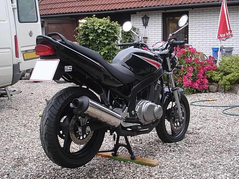 Suzuki GS 500 E SOLGT billede 5