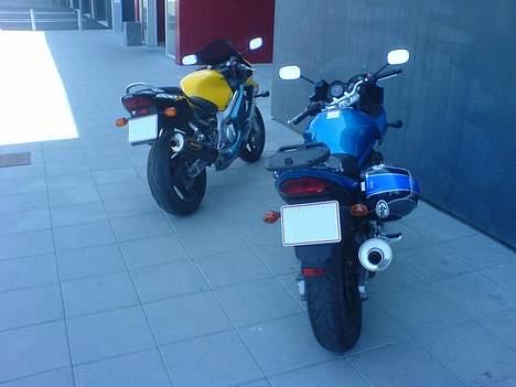 Honda CBR 600 F4 *SOLGT* - Den gule djævel og Banditten på nye eventyrer billede 12