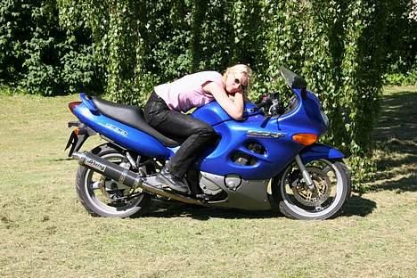 Suzuki GSX600F - Krammedyret billede 8