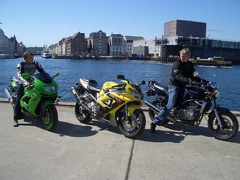Kawasaki ZX9R *SOLGT* billede 6