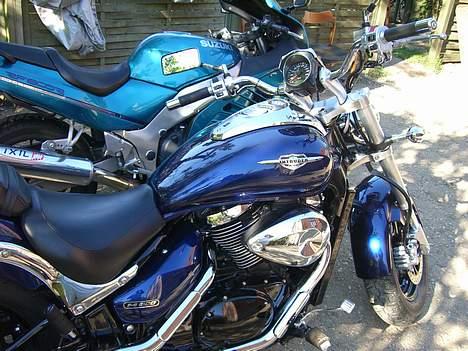 Suzuki VZ800K5 (M800) billede 3