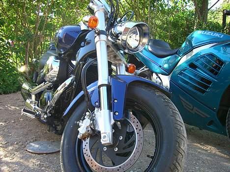 Suzuki VZ800K5 (M800) - RF´eren ved siden har været min engeng, heldigvis er den ikke længere væk end jeg kan få lov at køre på den en gang i mellem. billede 6