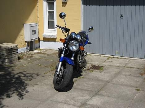 Honda CBR 600 Hornet *SOLGT* - Hornet`en forfra. Se venligst bort fra ukrudtet  :-) billede 1