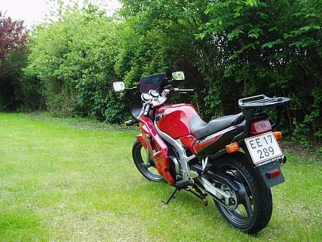 Suzuki GS 500 E billede 5