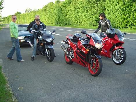 Honda cbr 600  billede 8