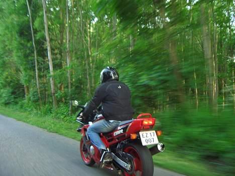 Honda cbr 600  billede 9