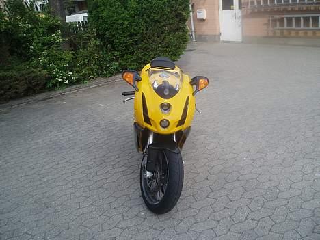 Ducati 749 billede 3