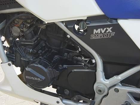 Honda MVX250F (SOLGT) billede 4