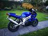 Aprilia SL 1000 Falco