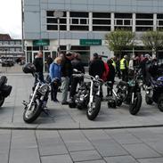 Suzuki VIKING V-Twin 45° VZ Custom Marauder