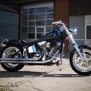 Harley Davidson fxstc softail