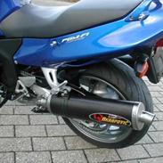 Honda CBR 1100 super XX black bird