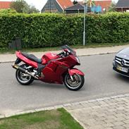 Honda Cbr 1100XX blackbird