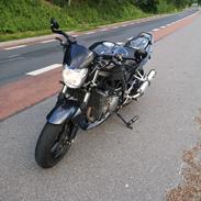 Suzuki Sv 1000N