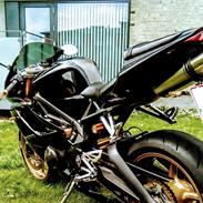 Triumph Daytona 675