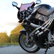 Suzuki GSX-R 250
