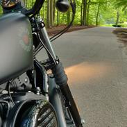 Harley Davidson XL883N