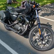 Harley Davidson XL883N