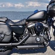 Harley Davidson XL883N