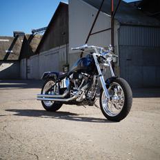Harley Davidson fxstc softail