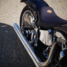 Harley Davidson fxstc softail