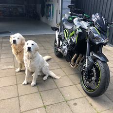 Kawasaki Z900 ABS (SOLGT)