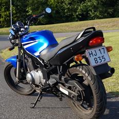 Suzuki GS 500 H