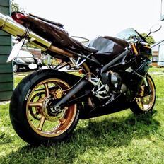 Triumph Daytona 675 "SOLGT"