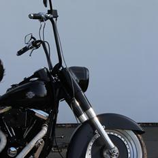 Harley Davidson FXST