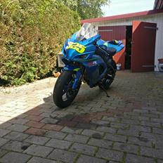 Suzuki GSX-R 750 K7 Banecykel