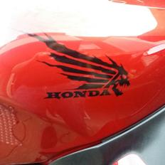 Honda CBR 1100 XX Super Blackbird