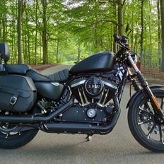 Harley Davidson XL883N