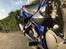 Suzuki Gsf 600